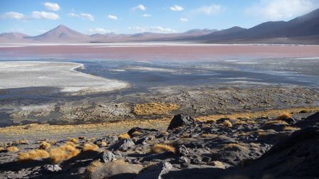 Laguna_colorada_Bolivie.JPG