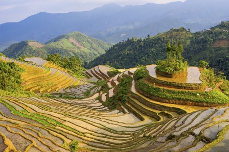 Vietnam 0201