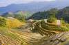 Vietnam 0201